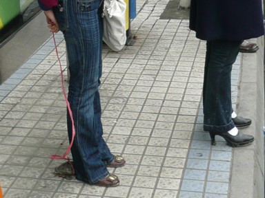 カメにひもを付けて散歩する成都の人
