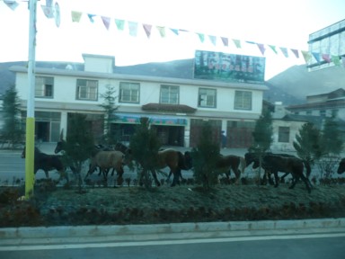 シャングリラの街を暴走するの馬の団体