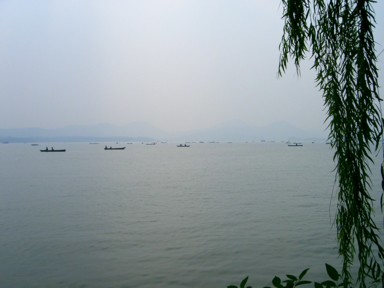 杭州西湖の穏やかな湖面と周囲の緑豊かな景観。