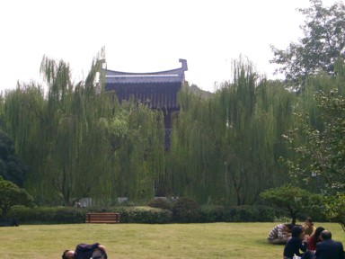 柳の葉が輝く西湖の芝生エリア