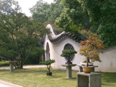 塀の美しい曲線