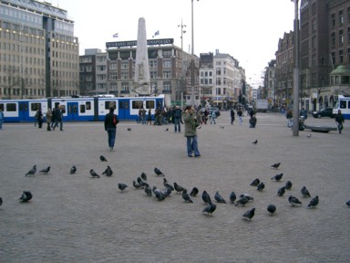 ハトと旅人が集まる広場の中心