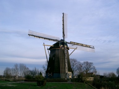 風車の迫力を下から見上げて実感
