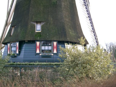 再び注目される風車の時代