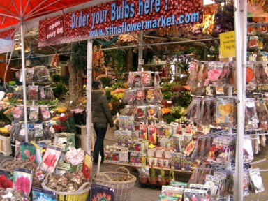 花市場の香りに誘われて