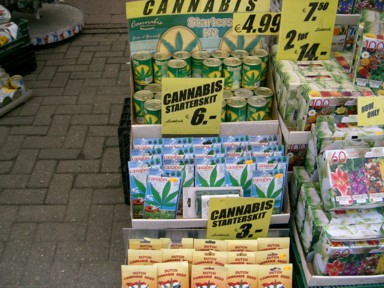 ユニークな商品が並ぶお店