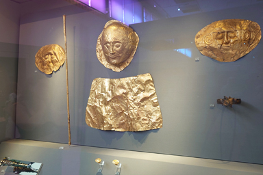 博物館に並ぶ古代の展示品