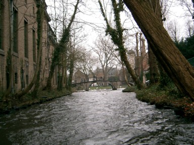 裏運河に広がる素朴な風景