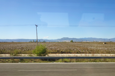 コットン畑と服のつながりに驚く