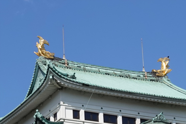 名古屋城の天守と金の鯱