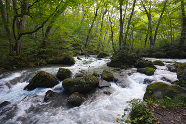 散策が楽しい奥入瀬渓流