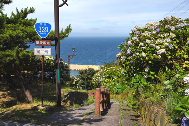 階段国道の石段