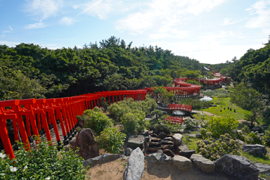 高山稲荷神社の赤い鳥居群