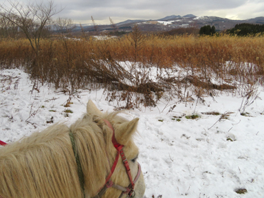 函館の雪の乗馬