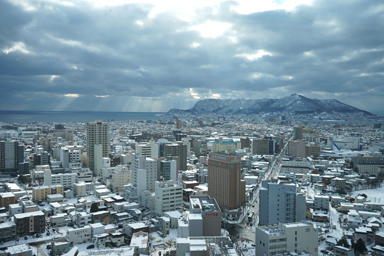 五稜郭タワーからの函館の街並み