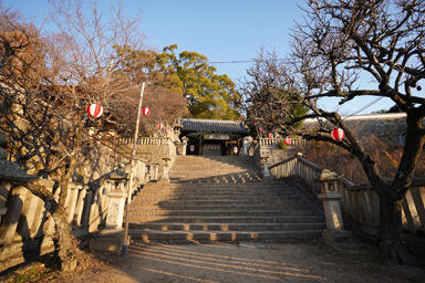 御袖天満宮の石段