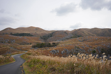 平尾台のカルスト台地