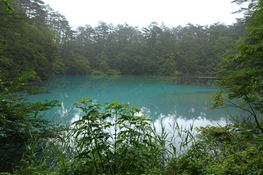 五色沼の青い湖面