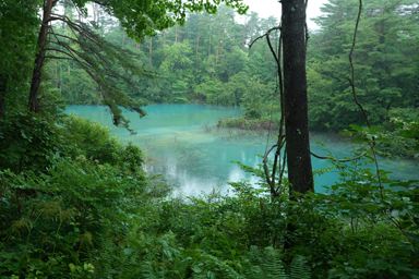 五色沼の青い湖面