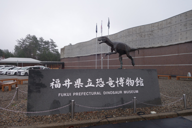 福井県立恐竜博物館の外観