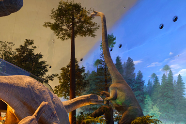 恐竜博物館の等身大模型
