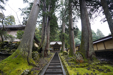 永平寺の山門と杉並木