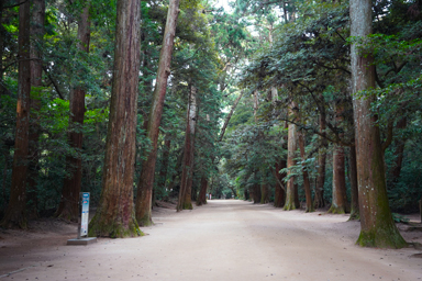 鹿島神社の境内