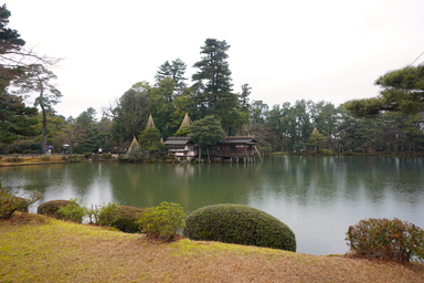 兼六園の霞ヶ池と松