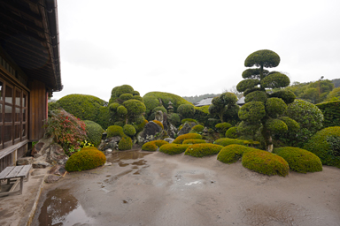 知覧の武家屋敷の整った庭園