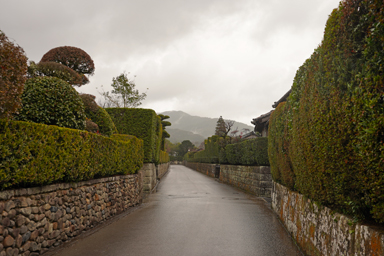 知覧の武家屋敷が並ぶ道