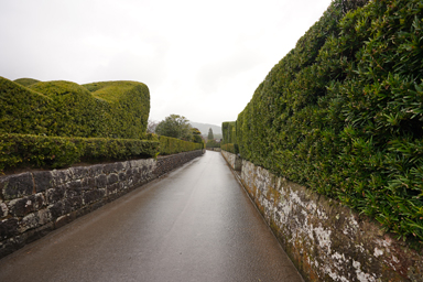 知覧の石垣の武家屋敷通り