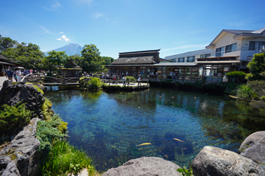 忍野八海の湧水と富士山