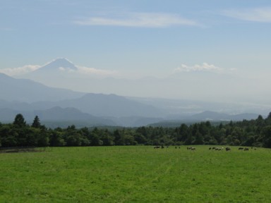 清里まきば公園の高原と山並み