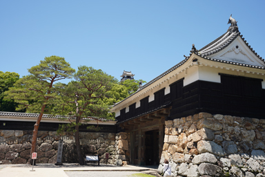 高知城の天守と石垣