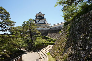 高知城の天守と石垣