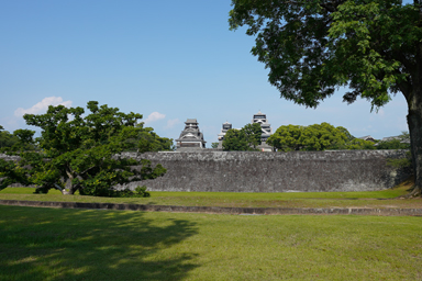 熊本城の天守と石垣