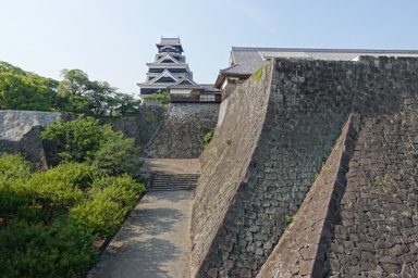熊本城の高い石垣