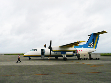 琉球エアーコミューターのシーサーの飛行機