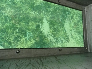 ハテの浜への船