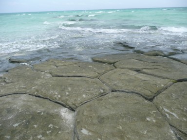 久米島の亀の甲羅のような奇岩地帯