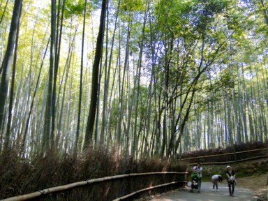 嵐山の竹林と小道