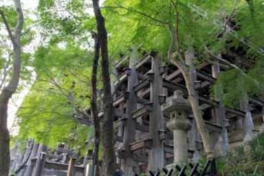 清水寺の舞台下の柱