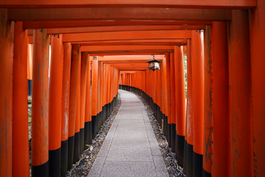 伏見稲荷大社の真っ赤な鳥居