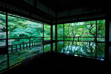 紅葉直前の瑠璃光院