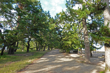 天橋立の砂の道