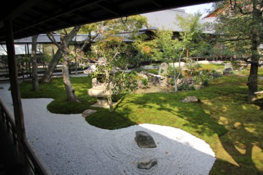 庭園の苔と木漏れ日