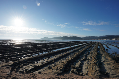 青島の海と鬼の洗濯板