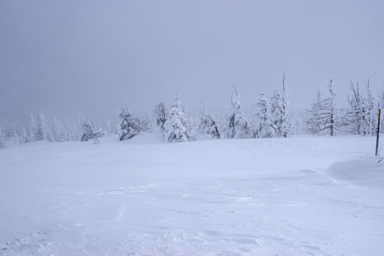 宮城蔵王の樹氷