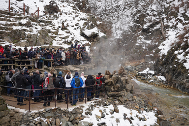 地獄谷の猿を囲む観光客