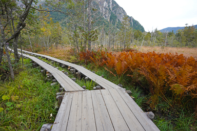 上高地の木道